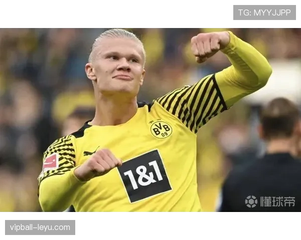 弗拉霍维奇的天赋与体系冲突解析